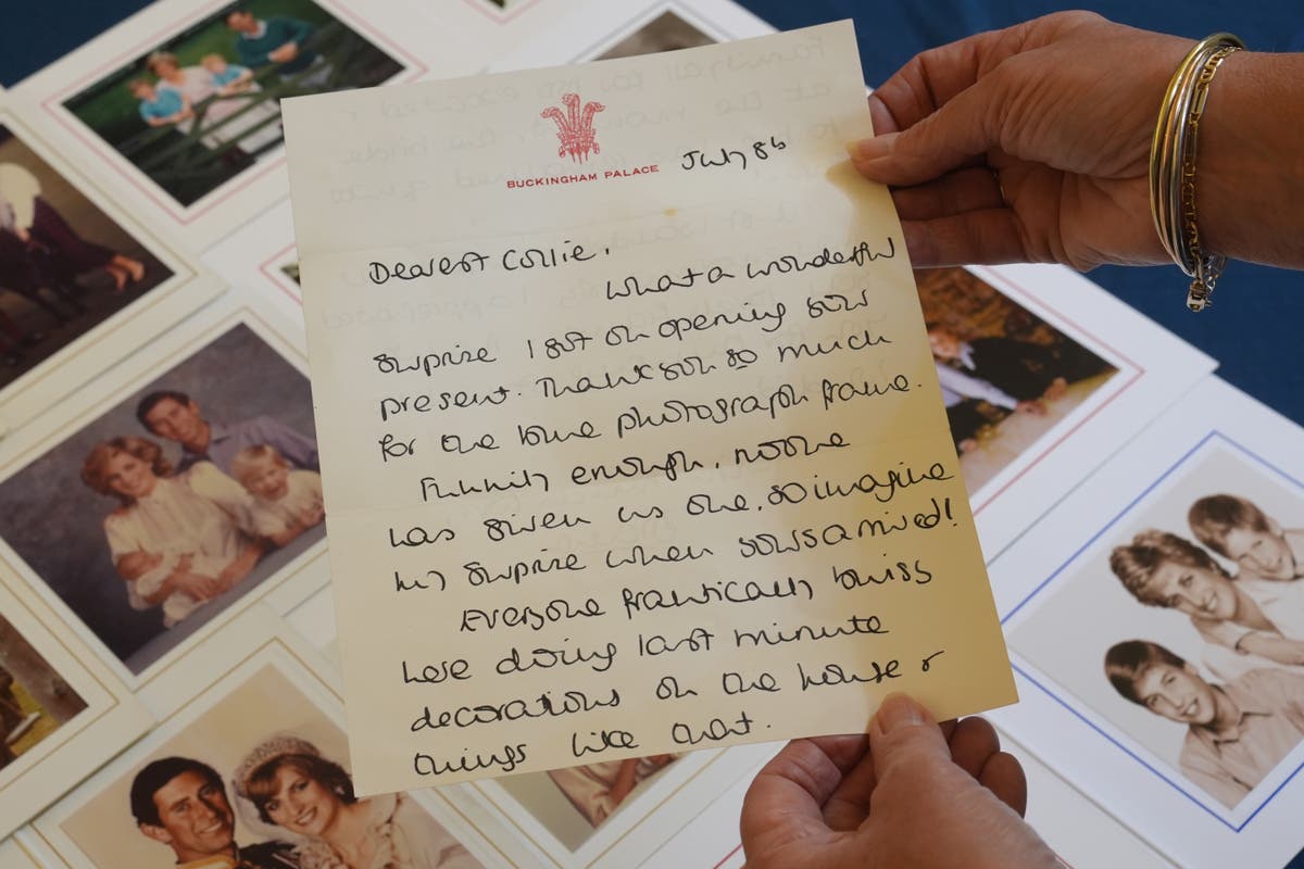 Prince William’s feelings towards Harry revealed in letters from Princess Diana