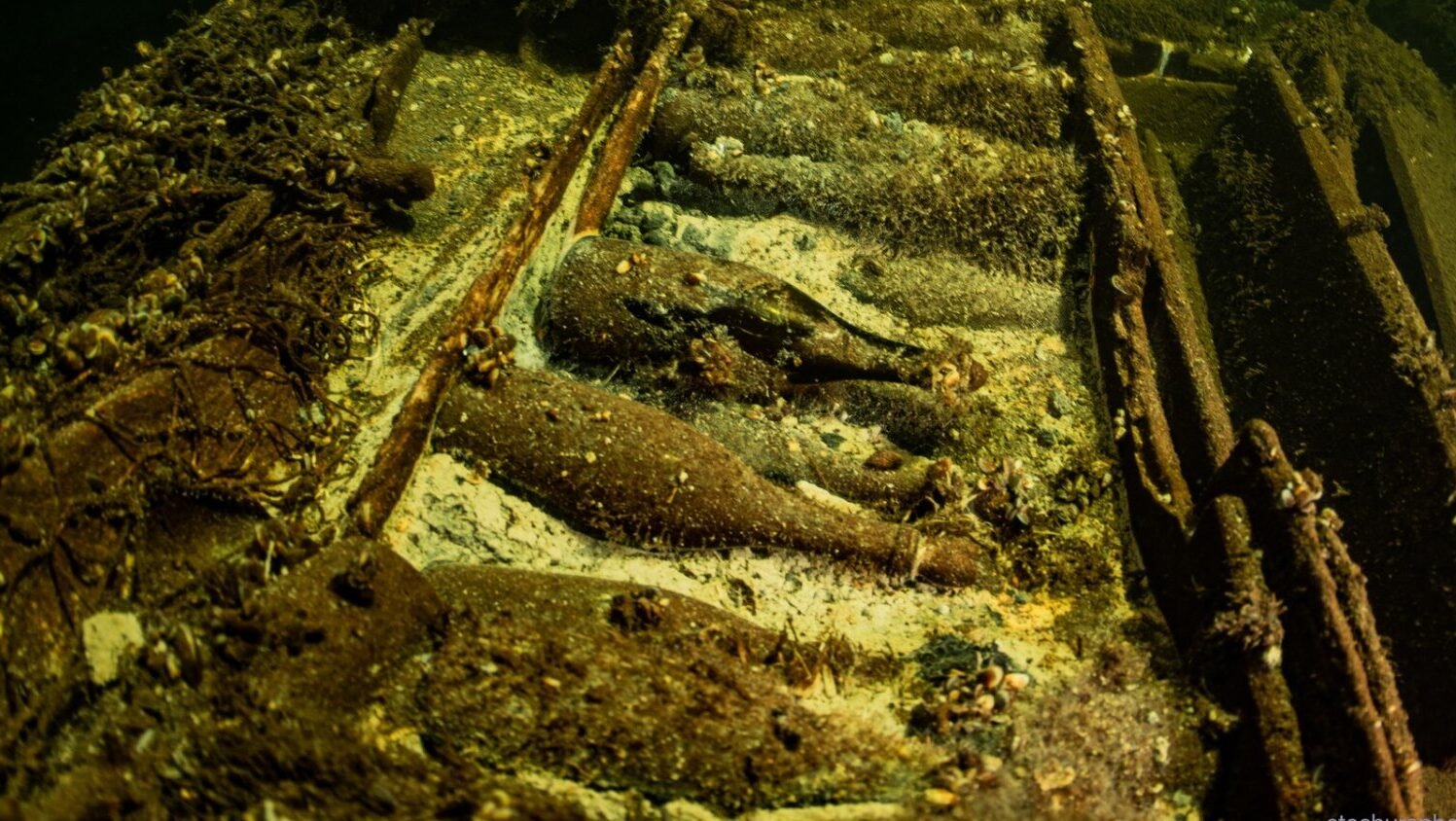 Over 100 Uncorked Champagne Bottles Found in 170-Year-Old Shipwreck