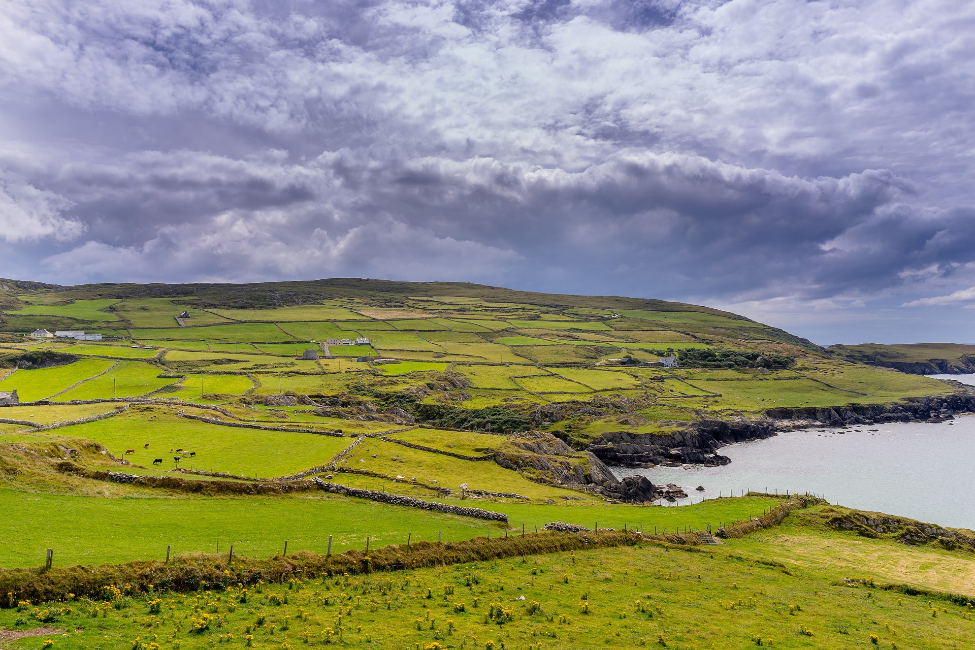 Rural TDs call for ban on foreign-based funds buying Irish land